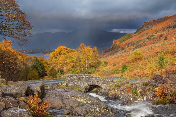 A striking image of Ashness Bridge, Borrowdale, captured in glorious autumn light. Things are looking a little bleak up on Skiddaw in the background but that only serves to highlight the splendid colours on display. Ashness Bridge is found on the road up to the tiny hamlet of Watendlath. Simply click on the image to explore size and format options.
Canon EOS1D Mk11; Canon EF24-105 L IS USM Lens